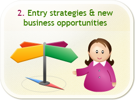 ENTRY STRATEGIES  &  NEW BUSINESS OPPORTUNITIES