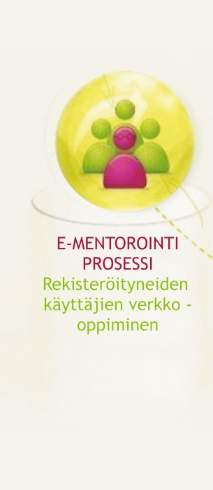  e-MENTORING PROCESS: virtual learning for registered users 